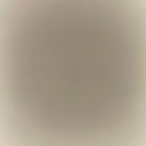 Meet your Posher, Lanae